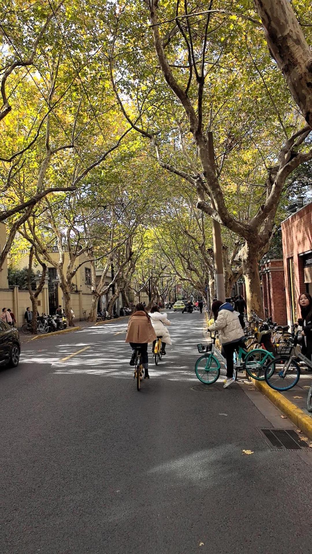 Shanghai Yi Du B&B - 150M Walk From Exit 5 Of Jiashan Road Metro Station מראה חיצוני תמונה